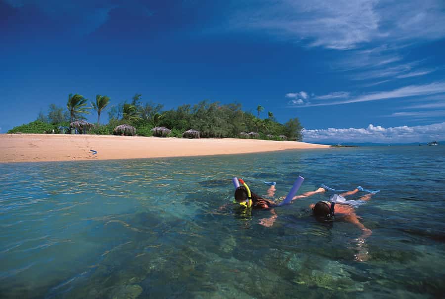 Port Douglas: Reef & Low Isles Cruise on Luxury Catamaran - 8:00am check-in and a comfortable catamaran start