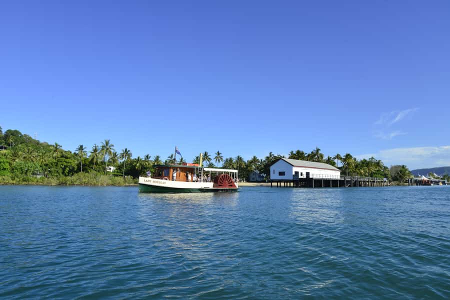 Port Douglas: River Cruise, Crocodile Spotting, Drink/ Snack - A gentle start from Port Douglas Marina