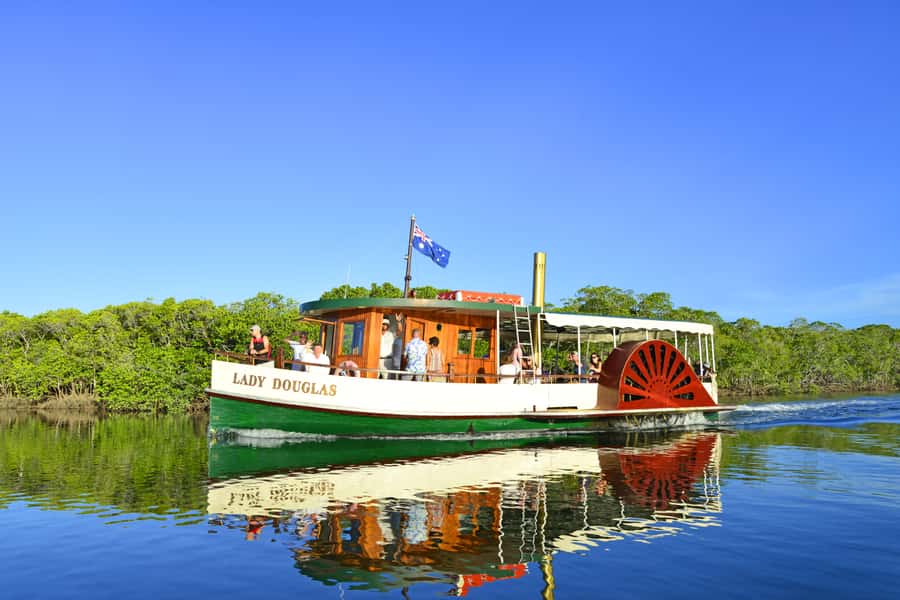 Port Douglas: River Cruise, Crocodile Spotting, Drink/ Snack - Searching Dickson Inlet for crocodiles