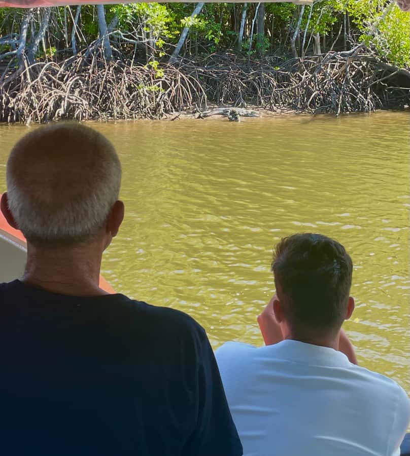 Port Douglas: River Cruise, Crocodile Spotting, Drink/ Snack - A practical way to plan your outing