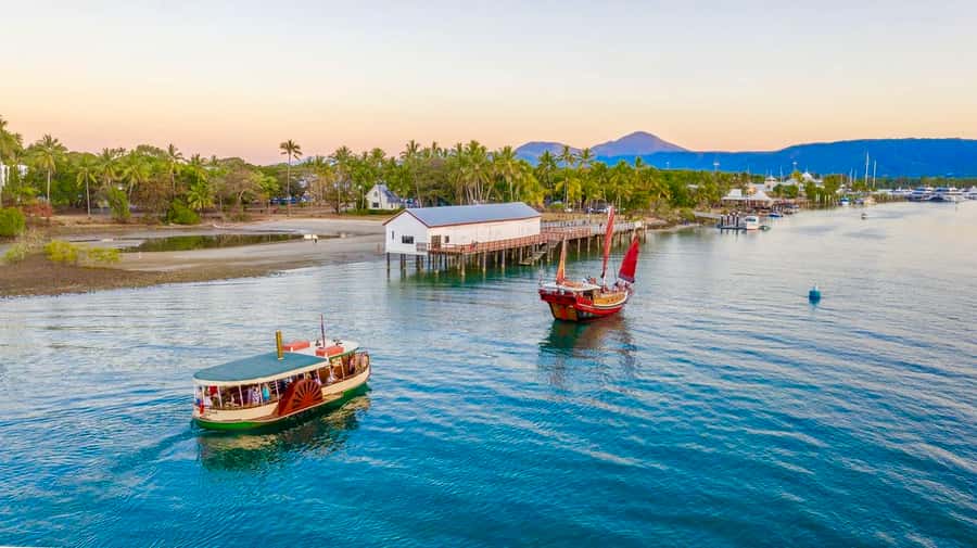 Port Douglas: River Cruise, Crocodile Spotting, Drink/ Snack - Through the mangrove forests