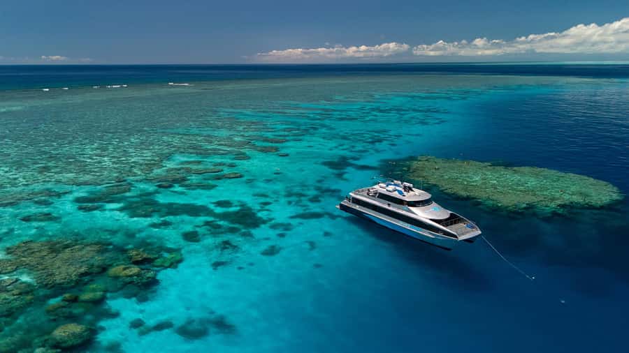 Port Douglas: Silversonic Great Barrier Reef Dive & Snorkel - Why the Agincourt Ribbon Reefs are worth the long ride