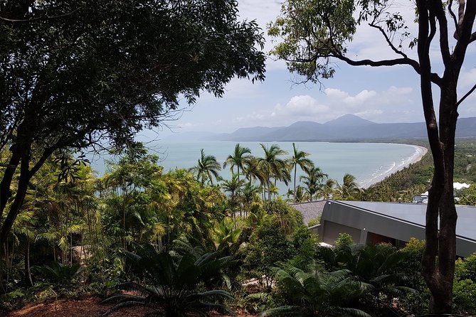 Port Douglas Sunday Markets Day Tour - Two hours at Port Douglas Sunday Markets