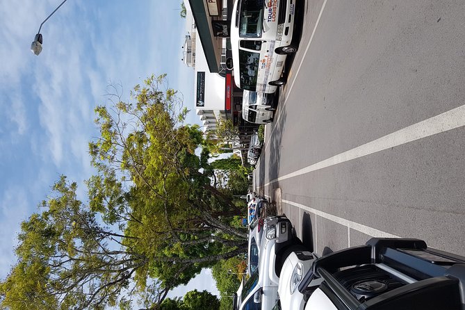 Port Douglas Sunday Markets Day Tour - The guides can make the difference