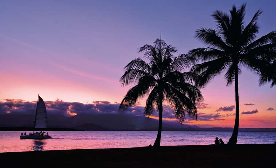 Port Douglas: Sunset Sailing Cruise on Luxury Catamaran - Service that keeps the mood easy