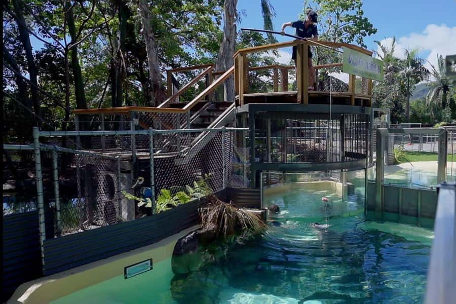 Port Douglas: Wildlife Habitat Swim with Crocodiles - Key details before you book