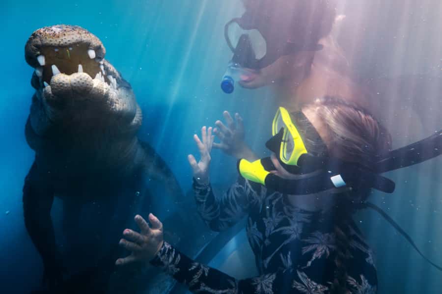 Port Douglas: Wildlife Habitat Swim with Crocodiles - Facing a saltwater crocodile at CrocArena