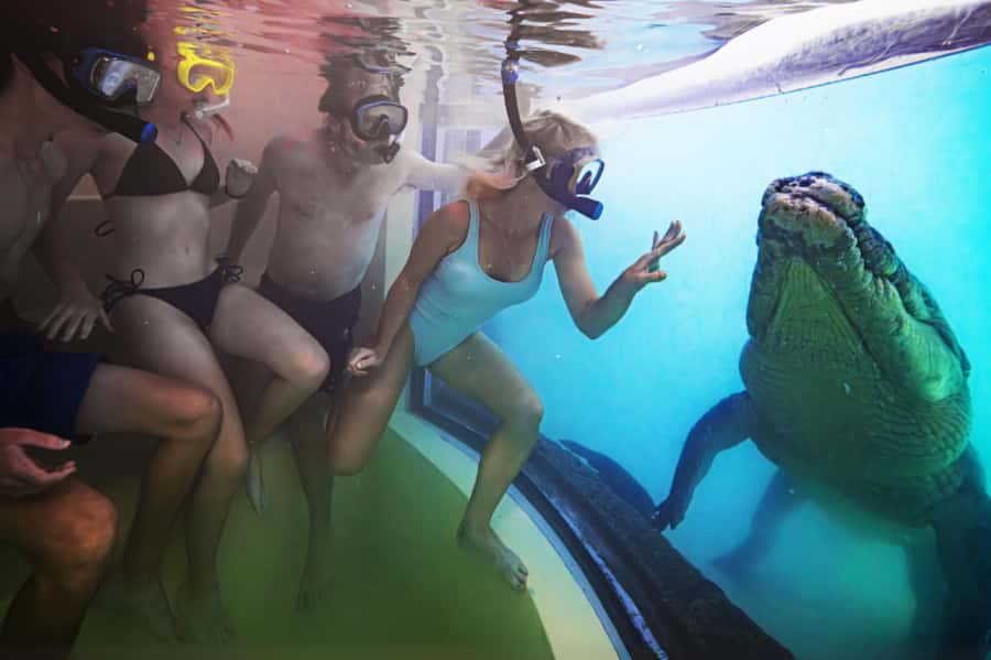 Port Douglas: Wildlife Habitat Swim with Crocodiles - Who will enjoy this, and who should skip it?