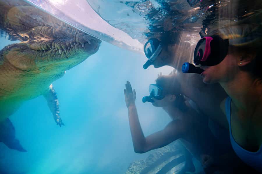 Port Douglas: Wildlife Habitat Swim with Crocodiles - Should you book the crocodile swim?