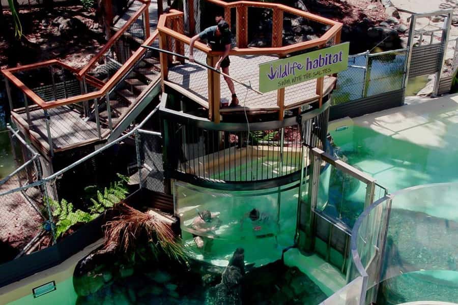 Port Douglas: Wildlife Habitat Swim with Crocodiles - The 15-minute safety briefing comes first
