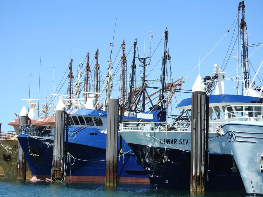 Port Lincoln Day Tour: Eyre Peninsula - Lincoln National Park and Sleaford Bay