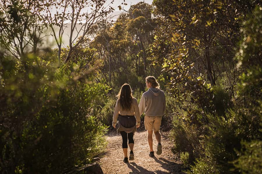 Port Lincoln Day Tour: Eyre Peninsula - The pace, group feel, and guide style