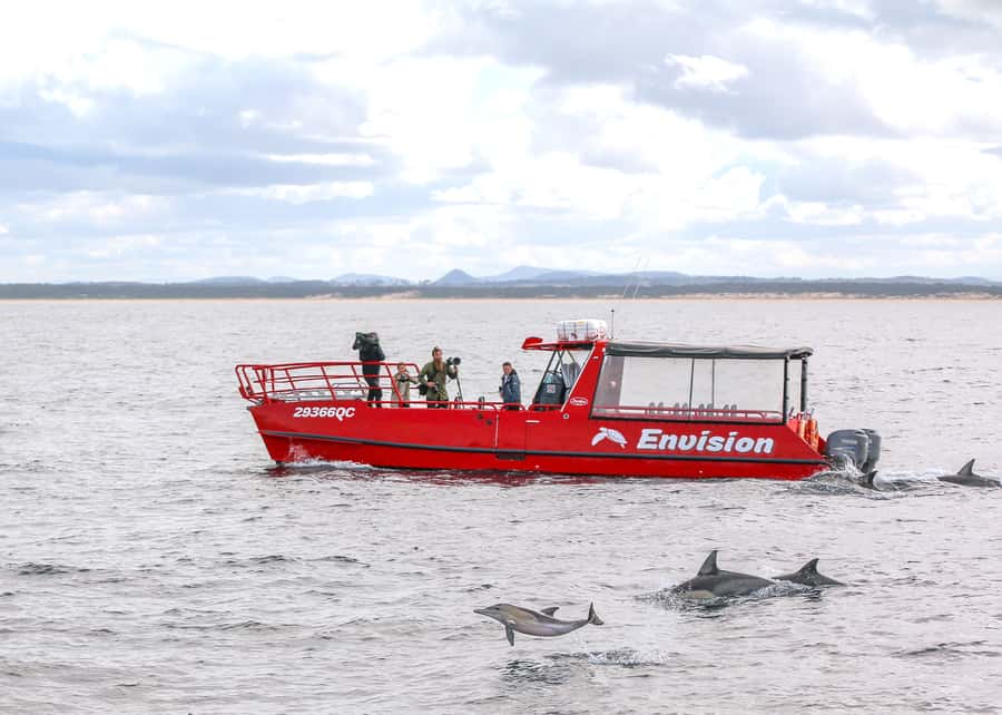 Port Stephens: 1hr Dolphin Watch Express - Why this short dolphin cruise works