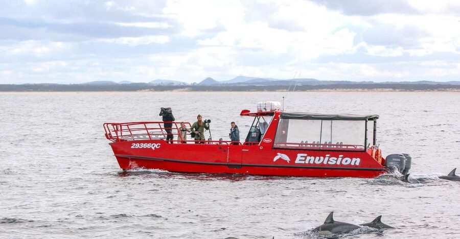 Port Stephens: 1hr Dolphin Watch Express - Who should book this outing?