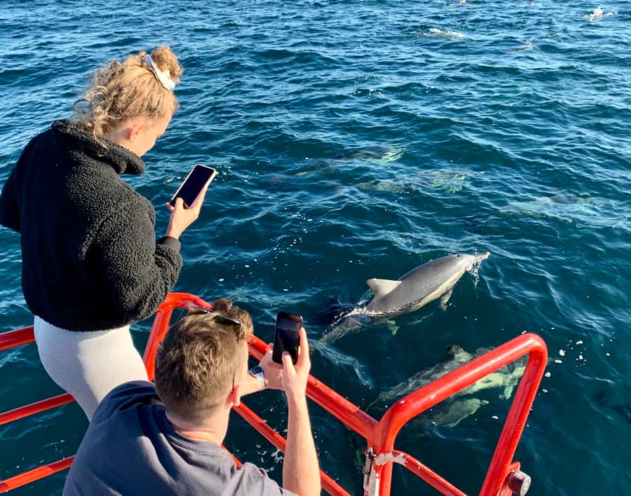 Port Stephens: 1hr Dolphin Watch Express - Cruising past Shoal Bay and the headlands