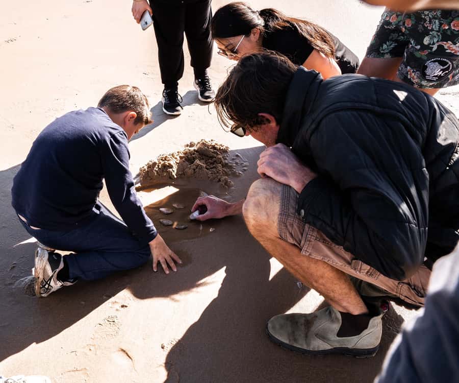 Port Stephens: Birubi Beach 4WD Tour with Sandboarding - Key points to know before you book