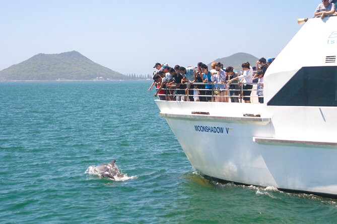 Port Stephens: Dolphin Discovery Cruise - Leaving Dock C at D’Albora Marina
