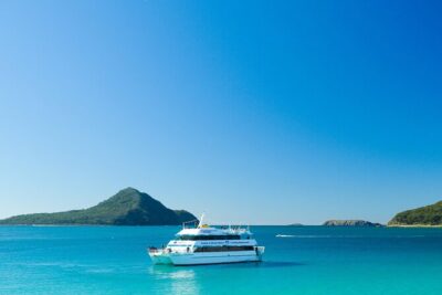 Dolphin Discovery Cruise