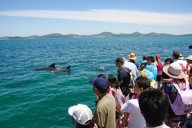 Port Stephens: Dolphin Discovery Cruise - Useful planning details before you go