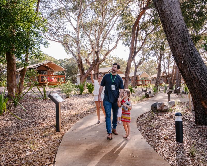 Port Stephens: Koala Sanctuary General Admission Ticket - Keep an eye out for echidnas and possums