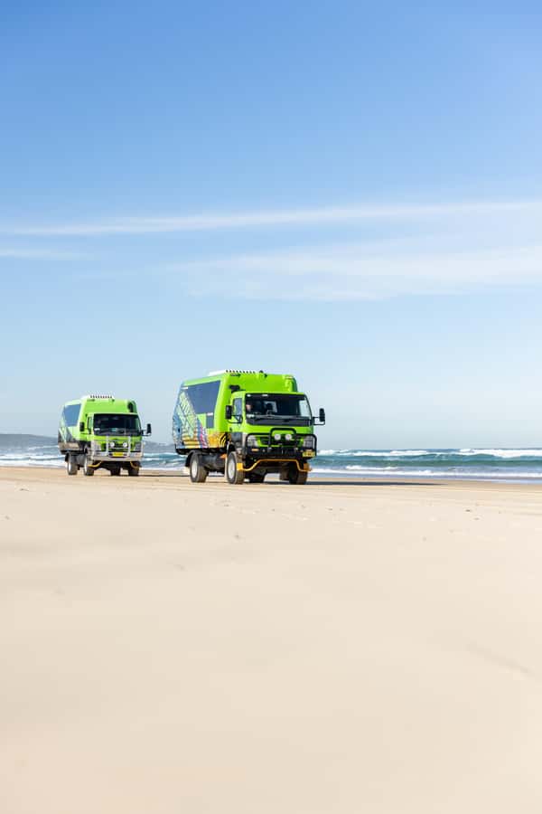 Port Stephens: Unlimited Sandboarding & 4WD Sand Dune Tour - Price, timing, and what you actually receive