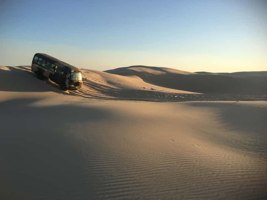 Port Stephens: Unlimited Sandboarding with 4WD Dune Transfer - Quick reasons to consider this outing