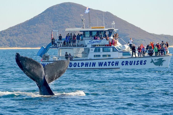 Port Stephens: Whale Watching Cruise - Hinchinbrook Explorer: a roomy catamaran for open-water viewing