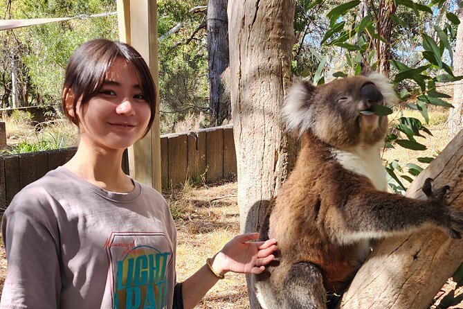 Premium Adelaide Hills Cleland Wildlife and Hahndorf Minibus Tour - Free time and lunch in historic Hahndorf