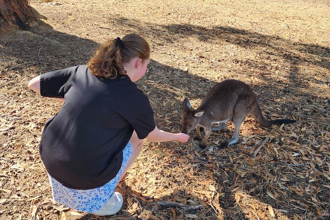 Premium Adelaide Hills Cleland Wildlife and Hahndorf Minibus Tour - A sweet stop at Melba’s Chocolate
