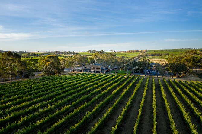 Premium All-Inclusive McLaren Vale Wine and Brew Minibus Tour - Down the Rabbit Hole for a boutique finish