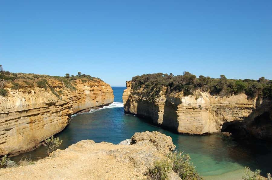 Premium Great Ocean Road Reverse Tour 13Pax Max Hotel PickUP - Wildlife along the return drive
