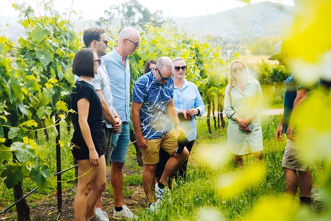 Premium Hunter Valley Wine Tour with Lunch from Sydney - Wine and cheese pairing at the lunch venue