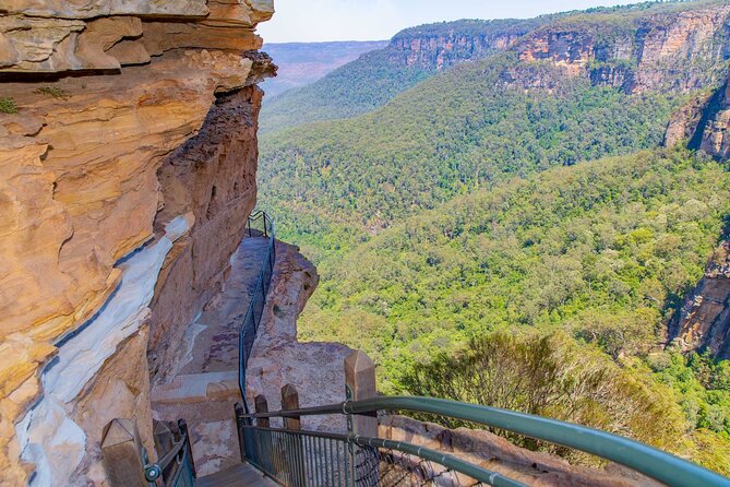 Private Blue Mountains Escape The Crowds Mercedes Tour - Leaving Sydney for the Blue Mountains