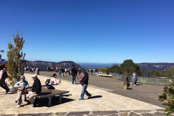 PRIVATE Blue Mountains tour & Koalas, Kangaroos, Cruise plus more - Echo Point and the Three Sisters