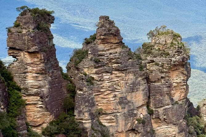 PRIVATE Blue Mountains tour & Koalas, Kangaroos, Cruise plus more - Wentworth Falls and the forest walk