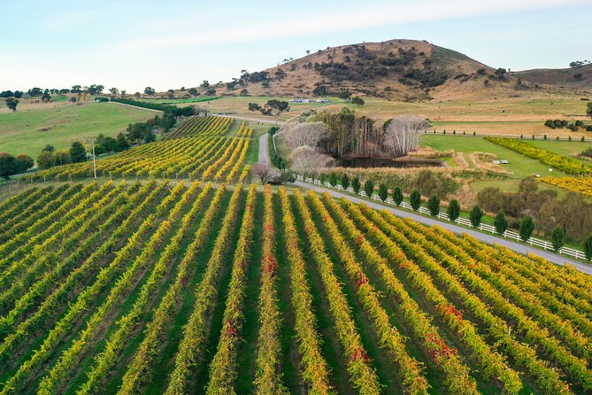 Private Canberra Winery Tour with lunch - What makes the guide valuable