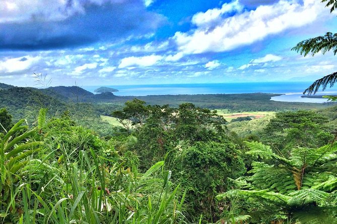Private Cape Tribulation & Mossman Gorge Day Tour - Key points at a glance