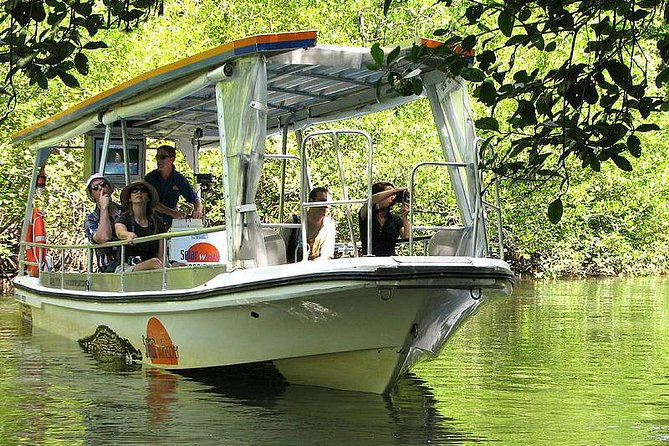 Private Cape Tribulation & Mossman Gorge Day Tour - Why this private Daintree day works so well