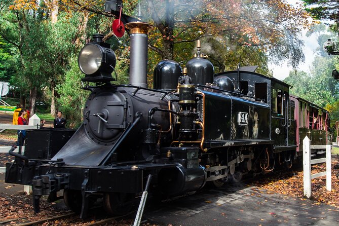 Puffing Billy And Healesville Sanctuary Scenic Tour - Why Puffing Billy makes this day different