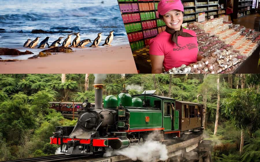 Puffing Billy Penguin Parade Winery Chocolaterie All-in-One - One long day, four very different Australian sights