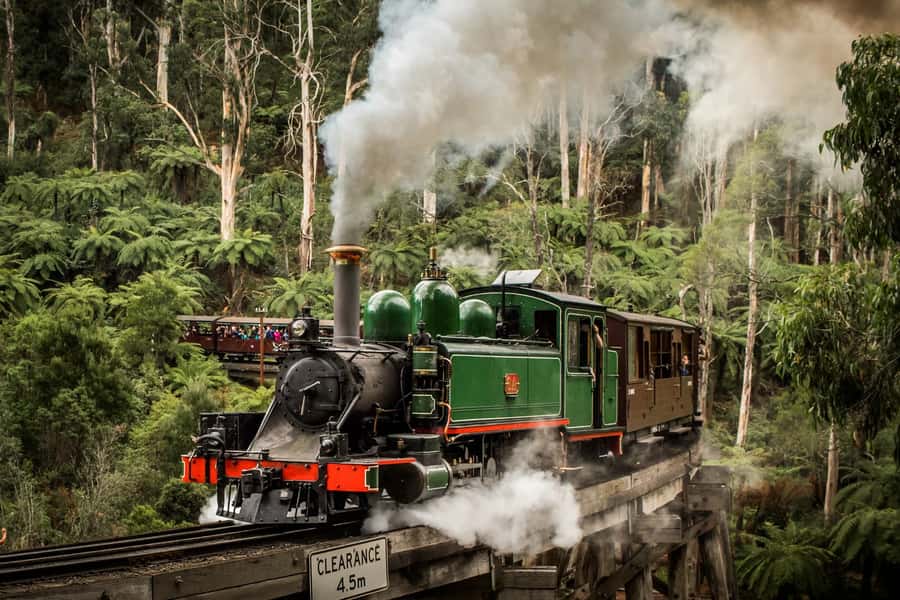 Puffing Billy Penguin Parade Winery Chocolaterie All-in-One - Starting at the Great Southern Hotel