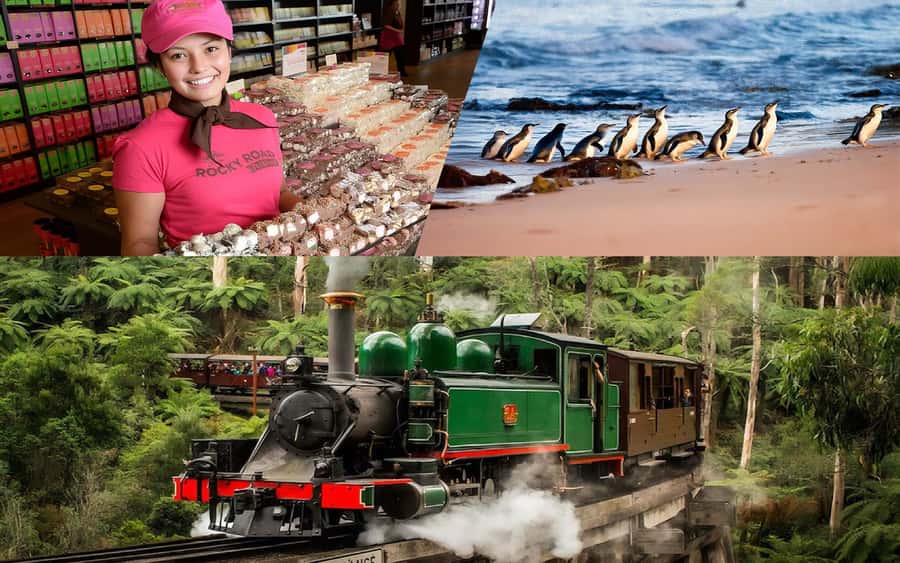 Puffing Billy Penguin Parade Winery Chocolaterie All-in-One - Yarra Valley Chocolaterie: an easy first stop