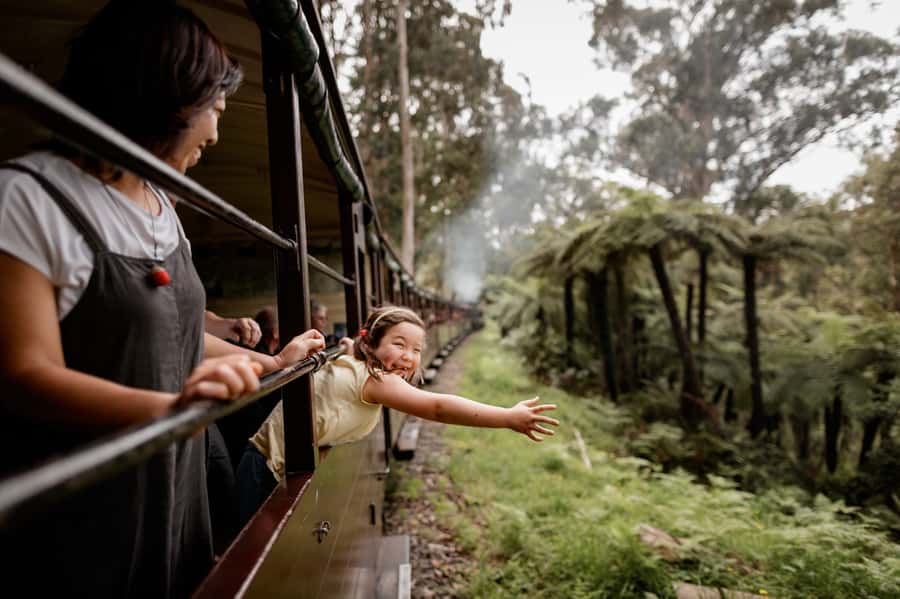 Puffing Billy Railway: Heritage Steam Train Journey - Key points to know before you go