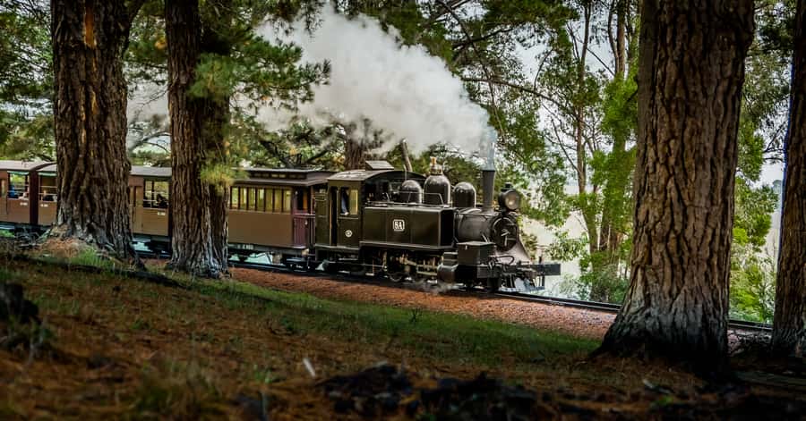 Puffing Billy Railway: Heritage Steam Train Journey - Why Puffing Billy still feels special