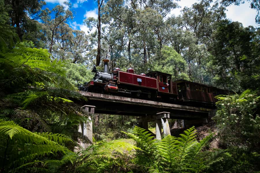 Puffing Billy Railway: Heritage Steam Train Journey - What the $29 fare really covers