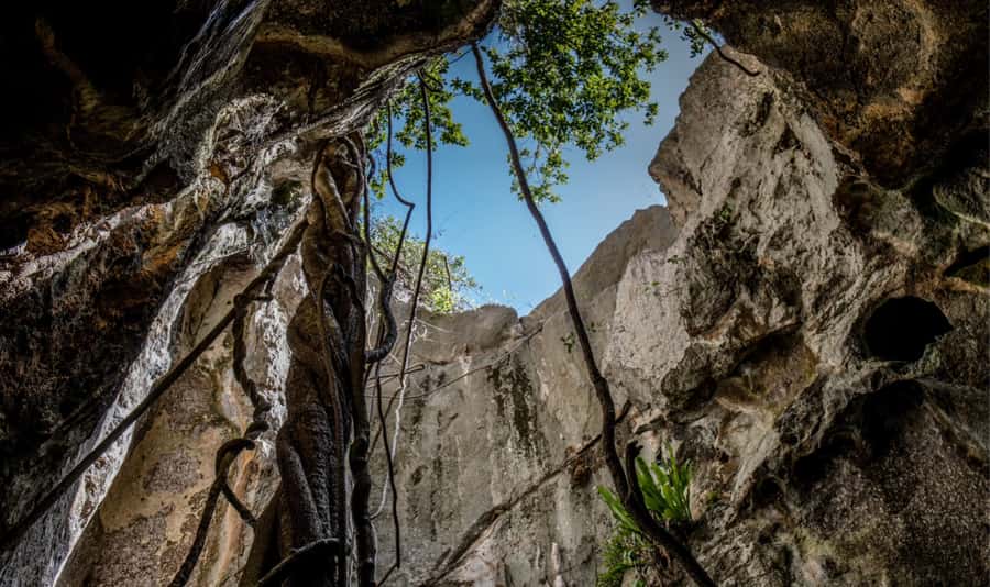 Queensland: 90 Minute Capricorn Caves Explorer Tour - Key points to know before you book