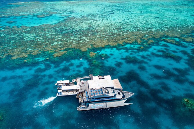 Quicksilver Great Barrier Reef Snorkel Cruise from Port Douglas - Snorkeling among coral gardens and tropical fish