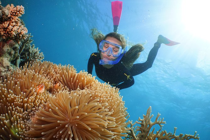 Quicksilver Great Barrier Reef Snorkel Cruise from Port Douglas - What the $233.10 price really buys