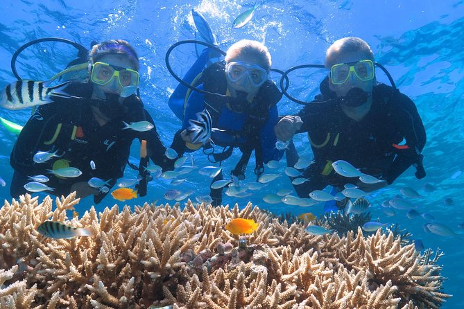Quicksilver Great Barrier Reef Snorkel Cruise from Port Douglas - The reef experience is not identical every day