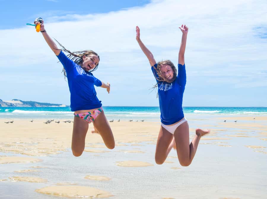 Rainbow Beach: Kayaking with Dolphins and Beach 4WD Tour - Should you book the Rainbow Beach kayak and 4WD tour?